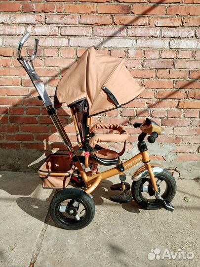 Детский трехколесный велосипед Street Trike