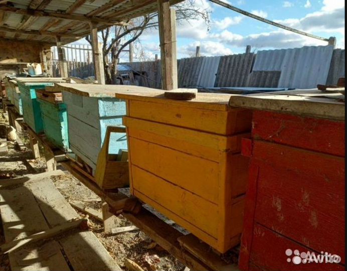 Улей и рамки