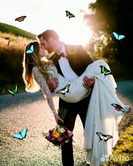 Салют из Живых Тропических Бабочек с/б-7