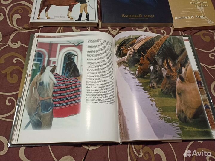 Книги о лошадях. Мир лошадей. Ваша лошадь
