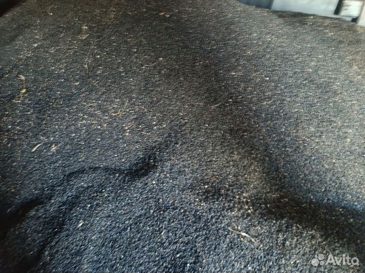 Зерно пшеница, ячмень,семечка 2023