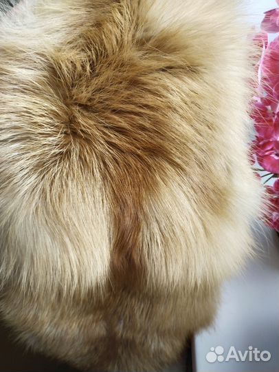 Лисья шкура