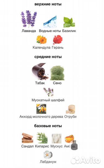 Dolce gabbana pour homme Intense 125 ml