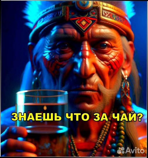 Пуэр Чай Энергия стихий BN9773