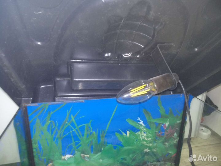 Акватеррариум для черепахи 45л