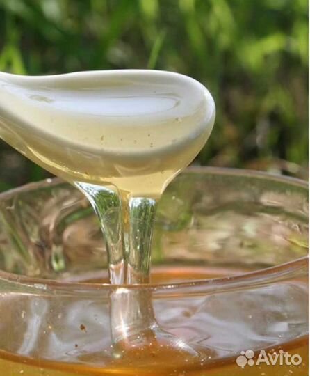 Мед акацвый созревший, замечатанный 2024