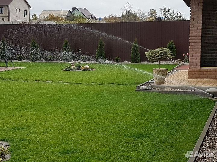 Семена газонных трав Карликовая