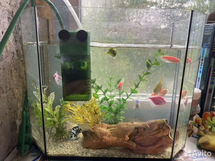 Продам два аквариума