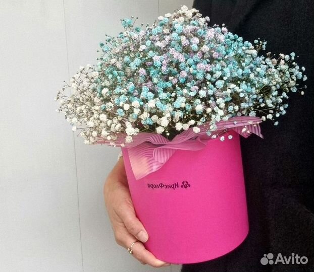 Гипсофила с доставкой