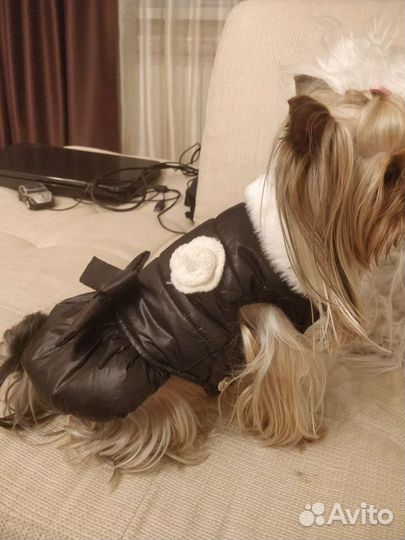 Жилетка-куртка