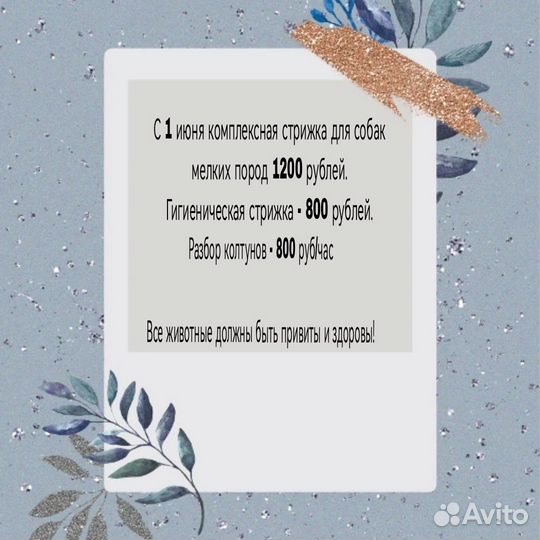Груминг грумер стрижка собак
