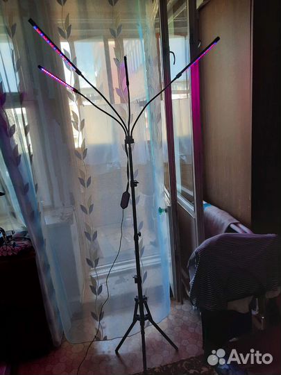 Световой штатив