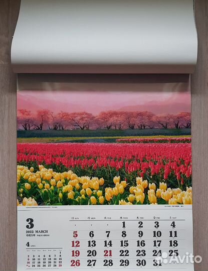 Календарь авторский 2023 новый