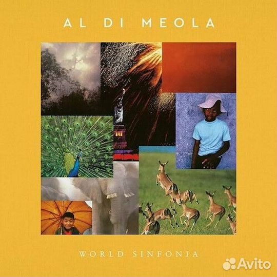 Al Di Meola 