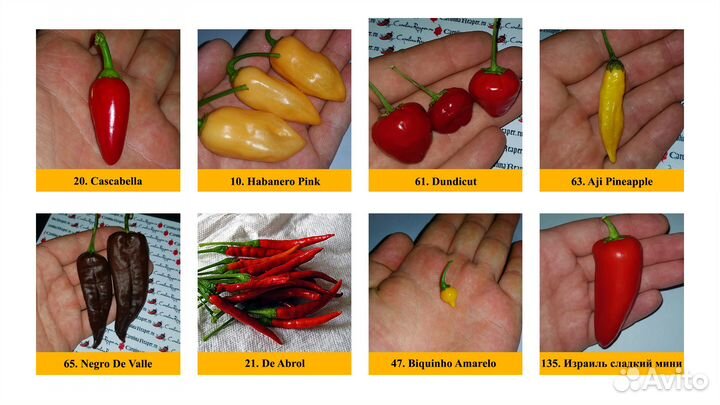 Семена острого перца со всего мира