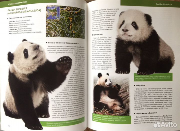 Красная Книга Земли