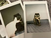 Instax mini 11