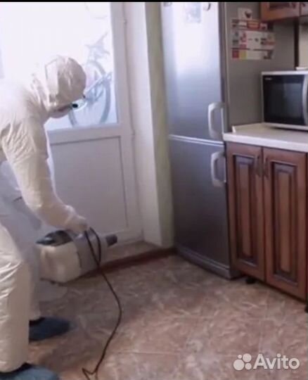 Уничтожение клещей клопов тараканов и тд