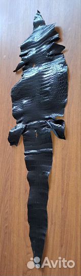 Шкура Крокодила