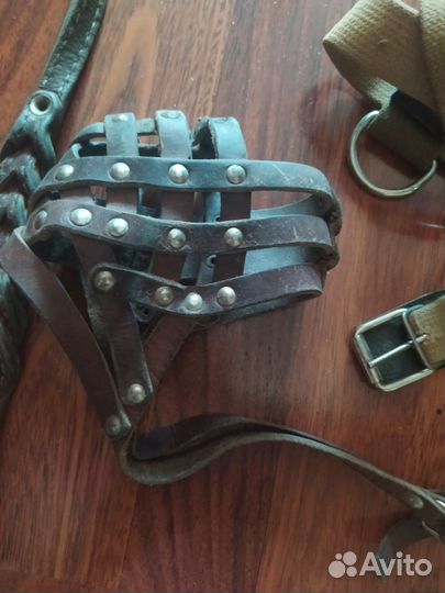 Кожаные, ошейник, намордник, поводок. Шлейка