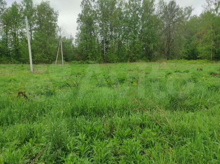 Участок 16,5 сот. (ИЖС)