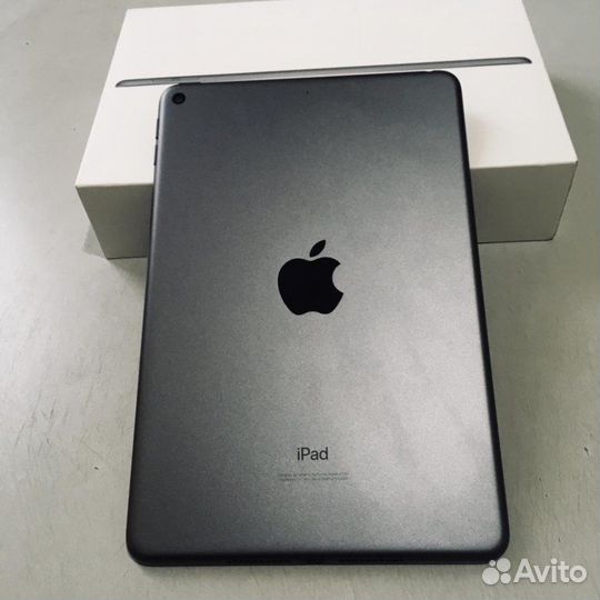 iPad mini 5 256 LTE Gray