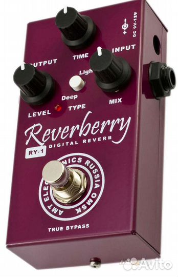 AMT RY-1 Reverberry