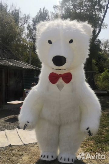 Поздравления медведя ростовая кукла белый медведь