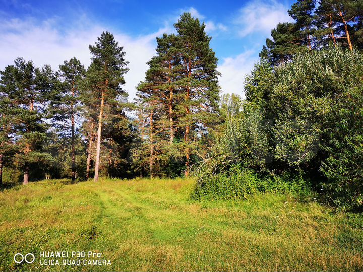 Участок 11 сот. (СНТ, ДНП)