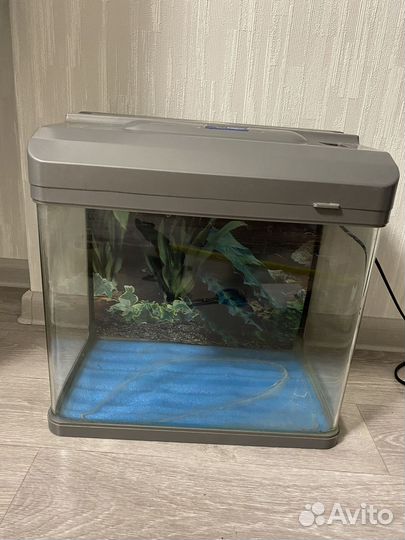 Аквариум