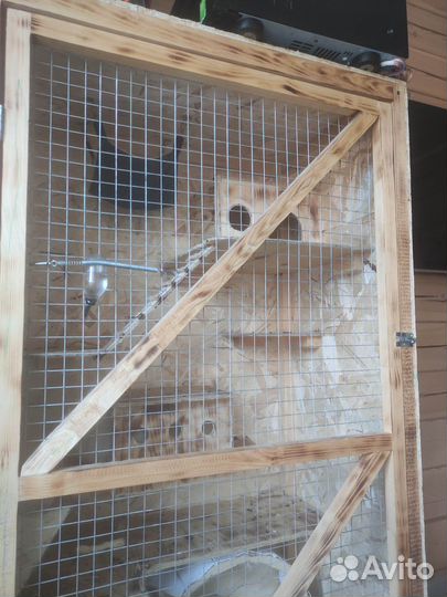 Шиншилла, клетка для шиншиллы
