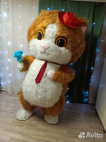 Поздравление с днем рождения/котик Макс