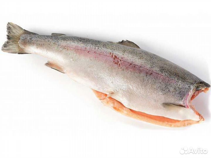 Семга, Минтай, Камбала, Икра, Пельмени, Котлеты