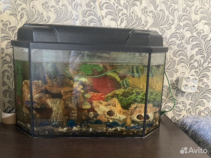 Аквариум с рыбками
