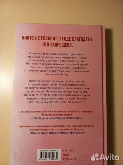 Год благодати