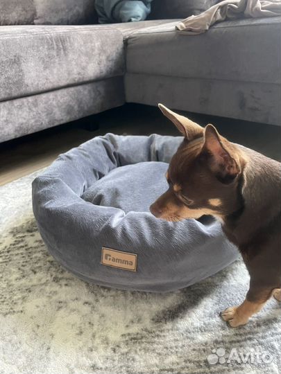 Лежанка для животных