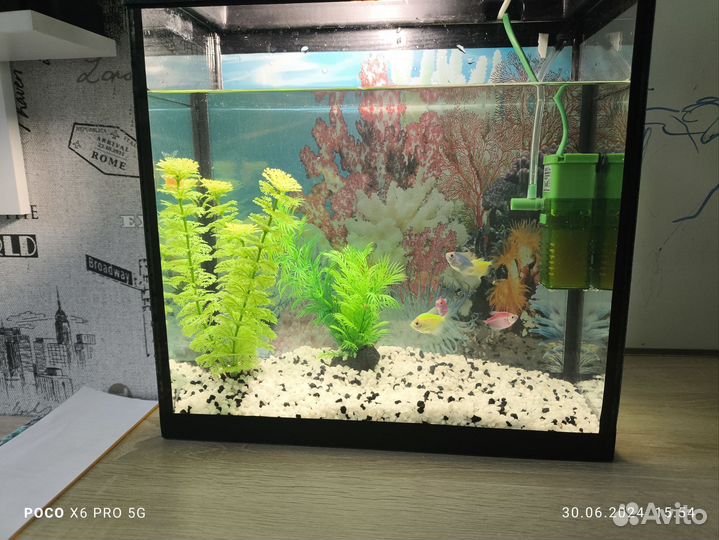 Аквариум с рыбками