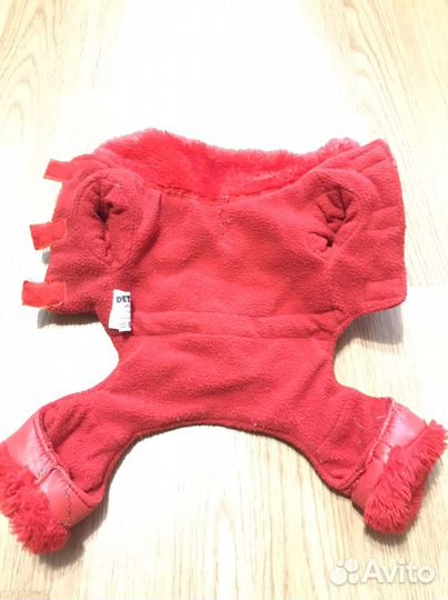 Одежда для собак