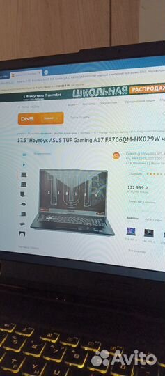 Asus TUF gaming A 17 (3060+Ryzen7)