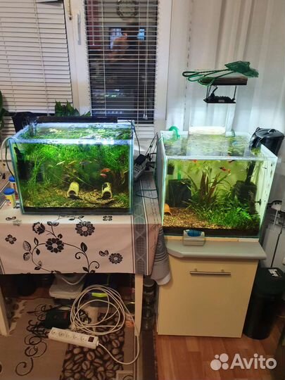 Обслуживание аквариумов