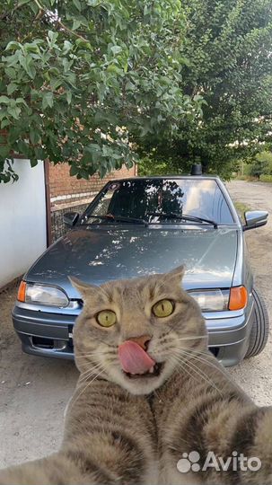 ВАЗ 2114 Samara 1.6 МТ, 2007, 220 000 км