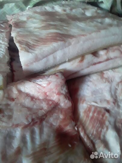 Сало свежее