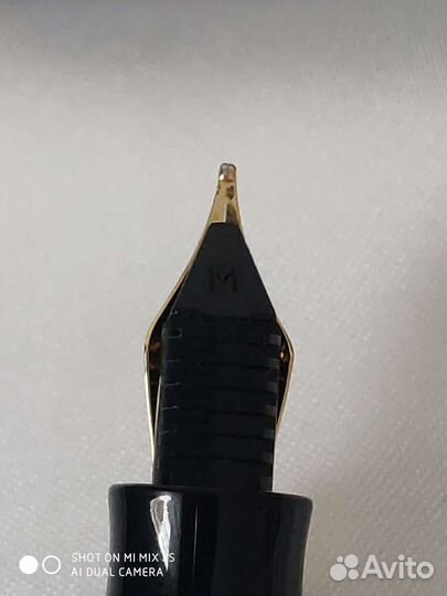 Ручка с золотым пером Waternan