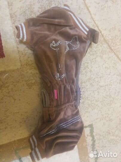 Одежда обувь для собаки размер такса кроличья