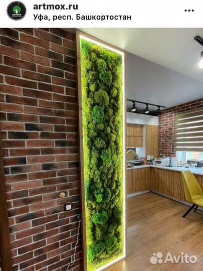 Стабилизированный мох панно