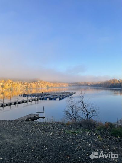 Форель живая от производителя