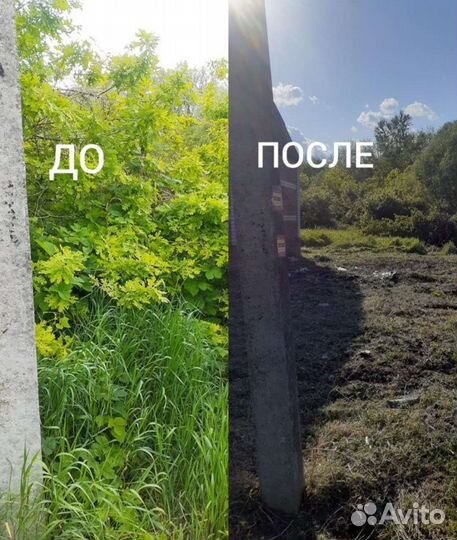 Расчистка участков, спил деревьев, покос травы