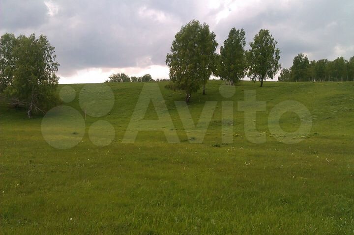 Участок 13,5 га (СНТ, ДНП)