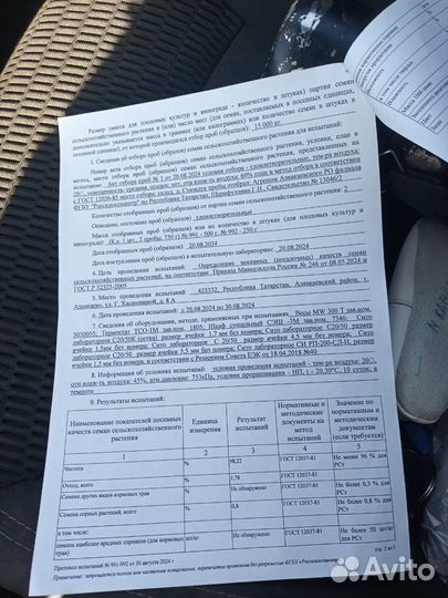 Эспарцет семена