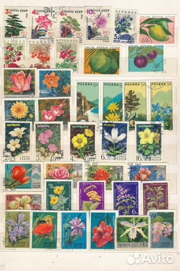 Марки почтовые Куба Спорт Фауна СССР всего 638штук